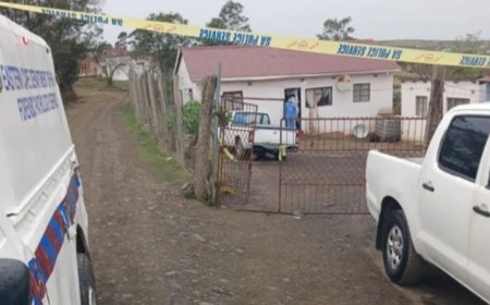 Manhunt after 17 people killed in South Africa mass shooting