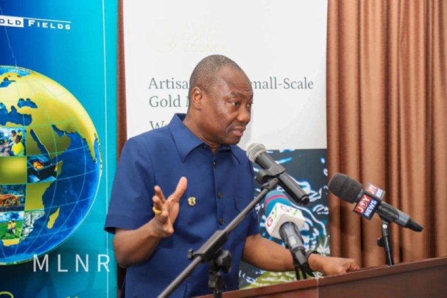 Banning Mining won't solve underlying Issues - Minerals Commission  CEO