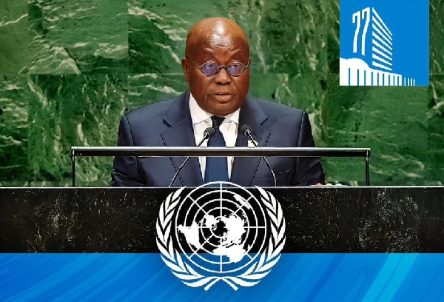 Akufo-Addo advocates for Africa's 'voice' in UN Security Council