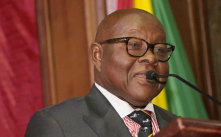 Africa's Natural Resource Management is a 'tragedy' - Mike Oquaye