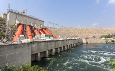 Don't auction off our assets - VRA Staff protest proposed merger