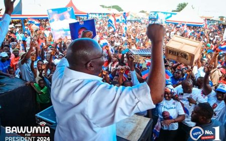 Election 2024: NPP set to hold grand rally on Dec 5
