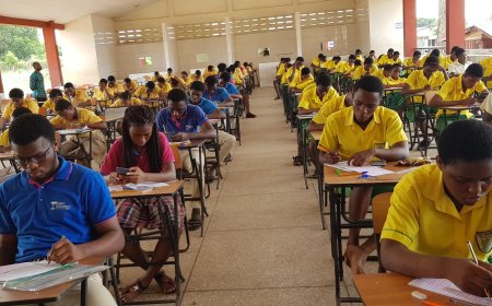 2024/25 SHS and TVET Placement Results released