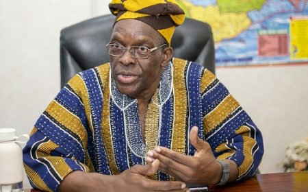 Parliament plays critical role in democracy - Bagbin