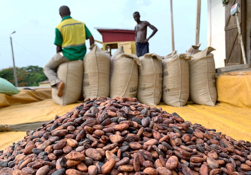 Cocoa Carriers Association begins indefinite strike today, demands better conditions