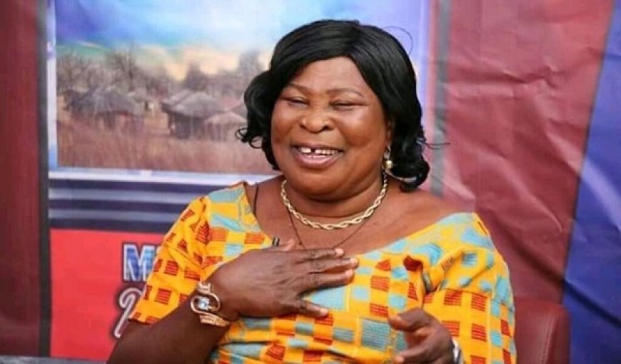 EC halts ballot paper printing following Akua Donkor's passing