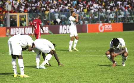 AFCON 2025 : Ghana finishes bottom in Group F after Niger defeat