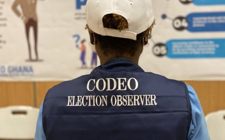 CODEO accuses NPP of misusing public resources for election campaign