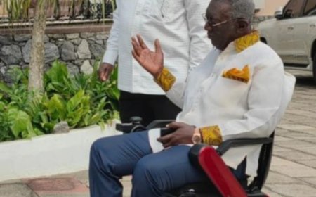 The gentle giant in a wheel chair - Occasional Kwatriot Kwesi Yankah writes