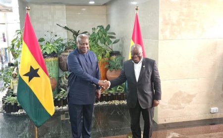 Mahama and Akufo-Addo Meet to Initiate Transition Process