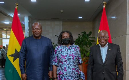 Approach task with transparency, and mutual respect - Akufo-Addo charges Transition team
