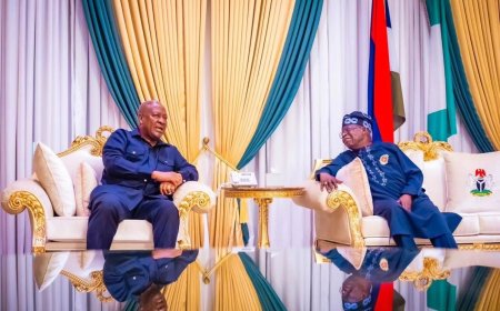 President-Elect John Mahama Pays Courtesy Visit to Nigeria's President Bola Tinubu
