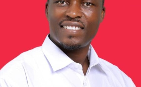 Going independent didn’t mean I forfeited the NDC - Wulensi MP-elect