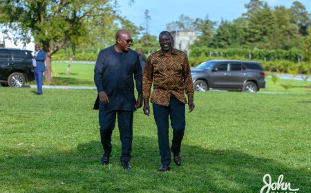 Let's Work Together to Maximize AfCFTA Benefits - Mahama tells Ruto