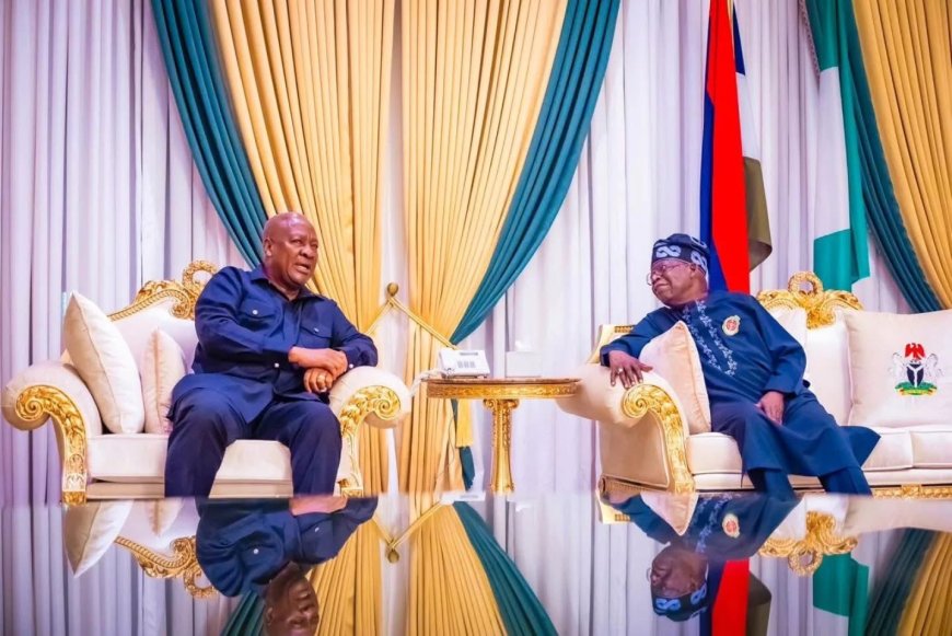 President-Elect John Mahama Pays Courtesy Visit to Nigeria's President Bola Tinubu