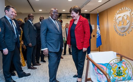 IMF Chief Praises Akufo-Addo for Economic Reforms, COVID-19 Management