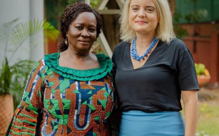 Swiss Ambassador Congratulates Vice President Opoku-Agyemang