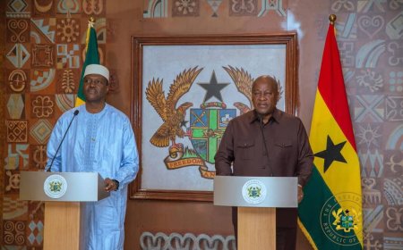 {In-Pictures}: President Mahama Holds Talks with Mali Prime Minister