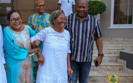 Naadu Mills pays courtesy call on President Mahama