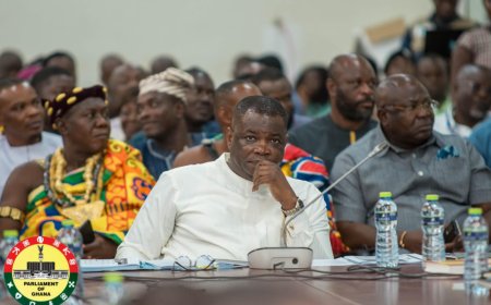 Cancellation of Road Toll by Akufo-Addo government was an 'act of illegality' - Kwame Agbodza