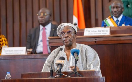 African Legislators Must Unite to Address Continent's Challenges - Speaker Bagbin