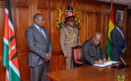 {In-Pictures}: Mahama in Kenya for AU Reforms Summit