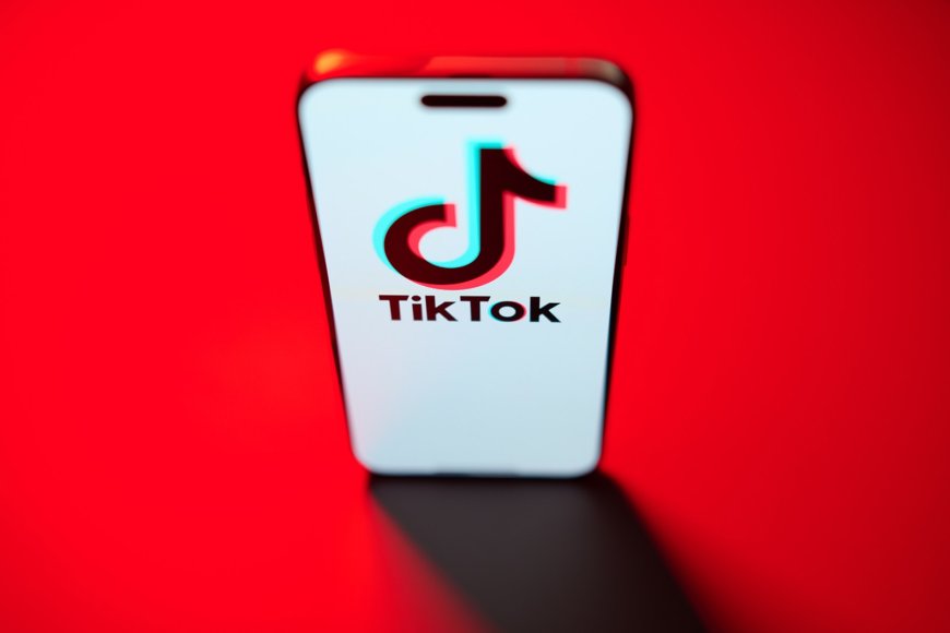 TikTok says it will 'go dark' on Sunday without US government action