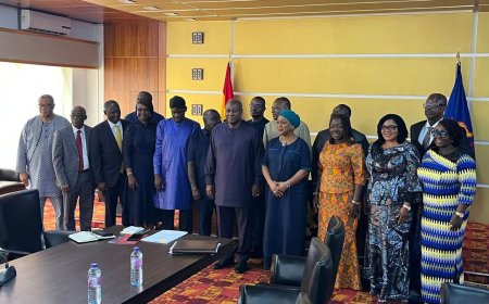 Mahama Sets Up 19-Member Task Force to Implement 120-Day Social Contract