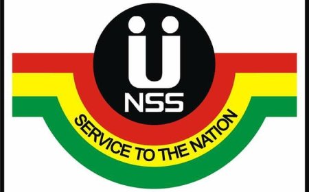 81,885 Ghost Names on National Service Payroll, Mahama Orders Probe