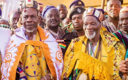 Ya-Na Pays Historic Royal Visit to Gonja land