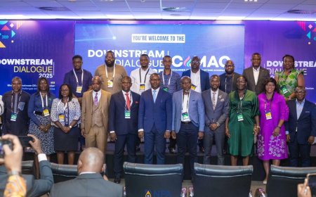 NPA Chief Vows To Transform Downstream Oil and Gas Sector