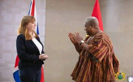 My gov't is focused on attracting foreign investments to create jobs for the youth - Mahama