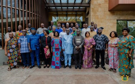 Transform from a Passively Advisory Body to an Active Institution - VP Opoku-Agyemang to Council of State