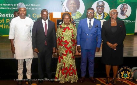 VP Opoku-Agyemang Urges MPs to Join Fight Against Illegal Mining