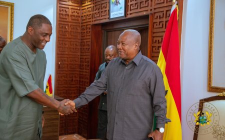 Idris Elba Meets with President Mahama to Unveil Plans for State-of-the-Art Film Village