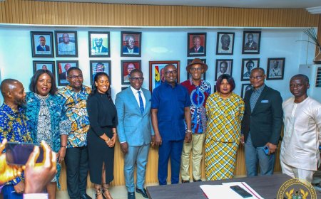 Energy Minister Receives Report on Private Sector Participation in Power Distribution