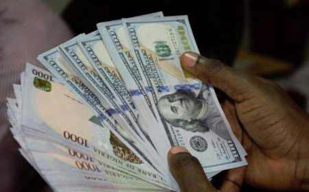 You can Still Withdraw Dollars Over the Counter - BoG Assures