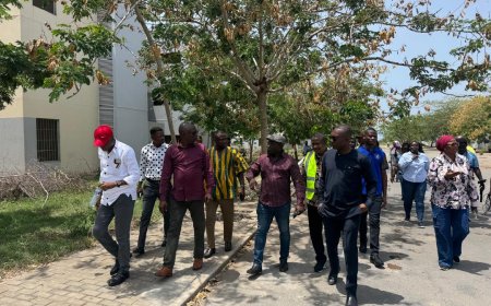 Saglemi Housing Project: Works and Housing Committee Conducts Site Visit