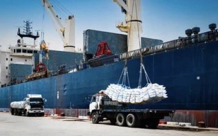 Rice Importation Scam: OSP Charges Four with Forgery of Bawumia's Letter