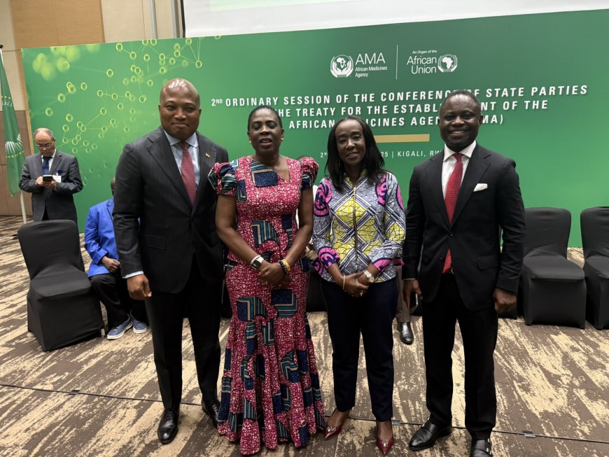 Ghana's Dr. Delese Mimi Darko Elected First Director-General of African Medicines Agency
