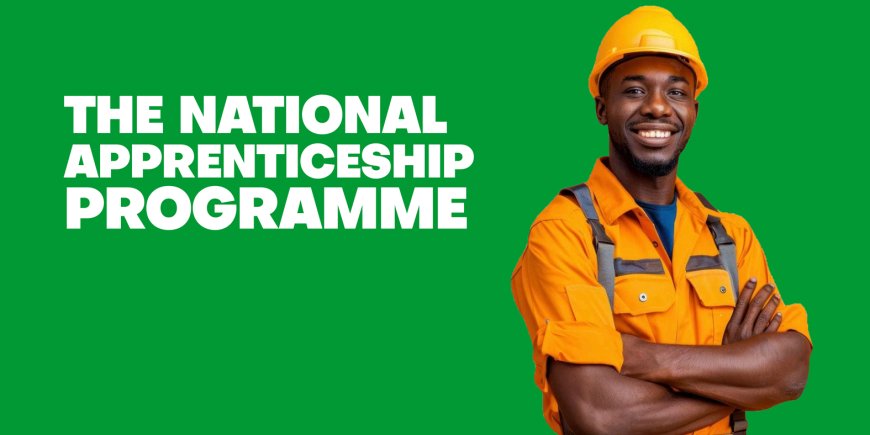 Over 150,000 Youth Have Signed Up for National Apprenticeship Programme - NYA