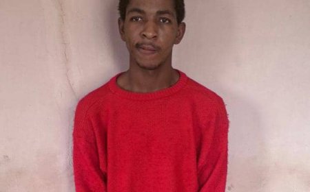 Ho Circuit Court Convicts Armed Robber for Attacking Pregnant Woman With Machete