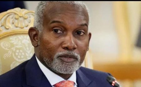 Nigeria has ‘enough problems’ and can’t take deportees from US, minister says