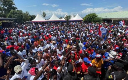 NPP Crucial National Delegates Conference Kicks Off Today