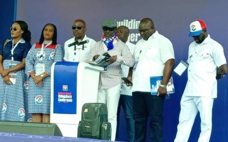 NPP Delegates Approve 54 Motions, Reject Two Key Constitutional Amendments