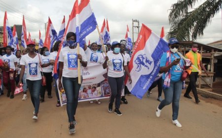NPP Revolutionizes 2026 Presidential Primary with Expanded Electoral College