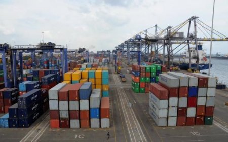 BoG Cracks Down on Shipping Firms Over FX Rates