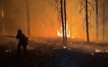 World Court is poised to mark the future course of climate litigation 