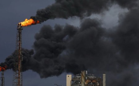 World Court Delivers Verdict: Countries Must Act on Climate Change