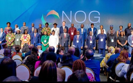 African Oil Producers Urged to Form United Front for Global Influence